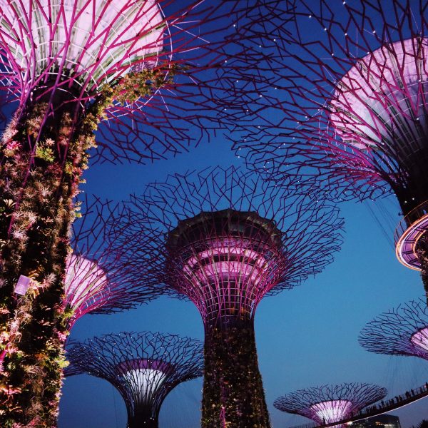 Investment Commentary – For the week Ended March 6 – From Our Partners