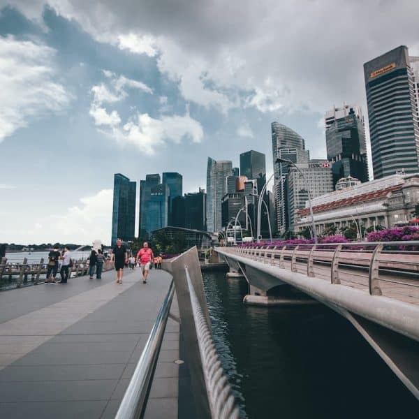 Your weekly commentary – For the week ended November 6 – From Our Partners 