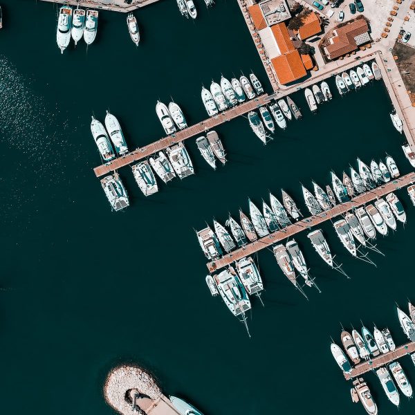 Your weekly commentary – For the week ended August 12 – From Our Partners