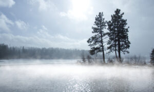 Mist Fog