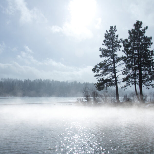 Mist Fog