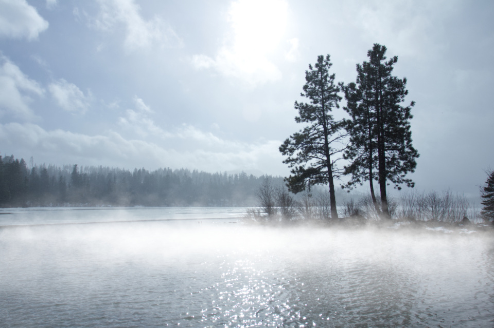 Mist Fog