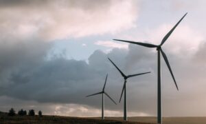 Windmill Field