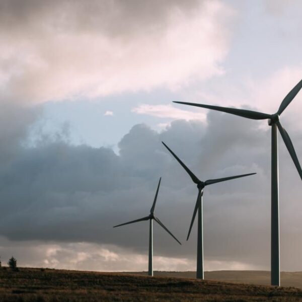 Windmill Field