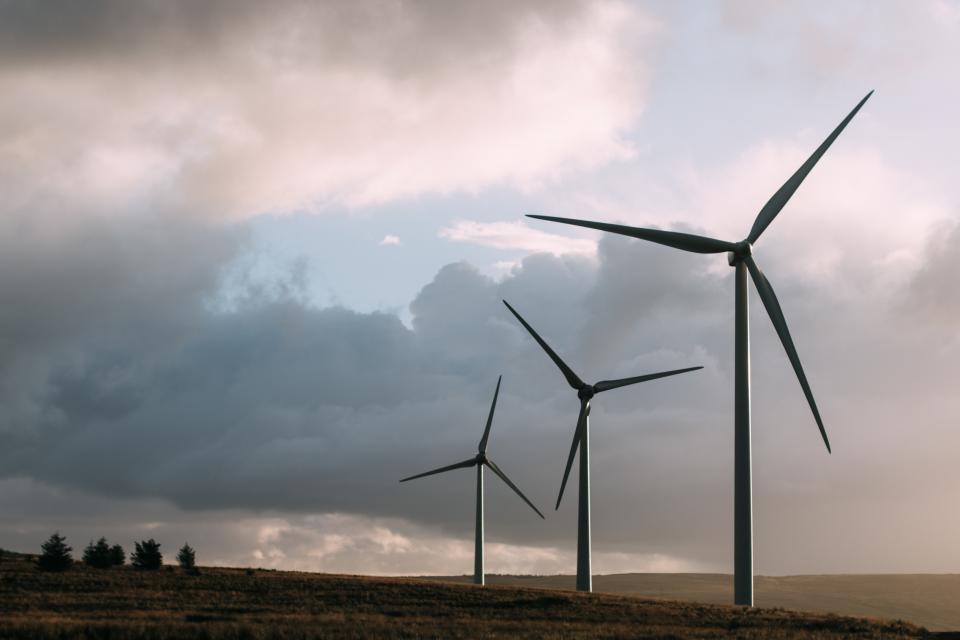 Windmill Field