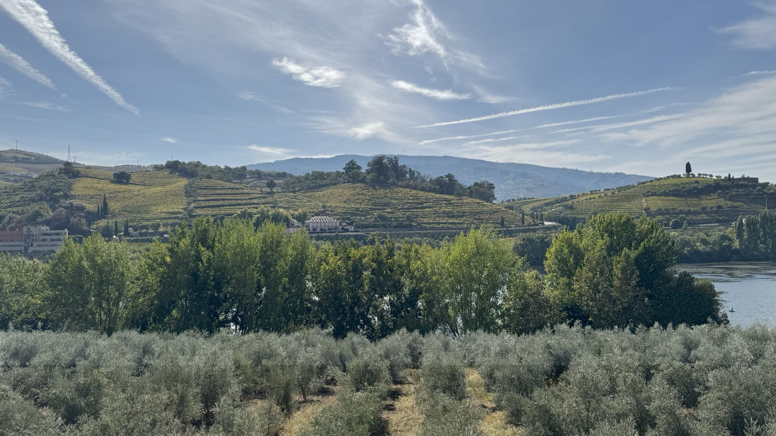 Terraced vineyards along the Douro river