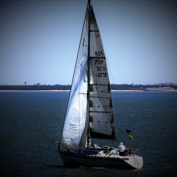 Sailing Abôve Dreams 5