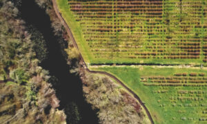 Farm Land