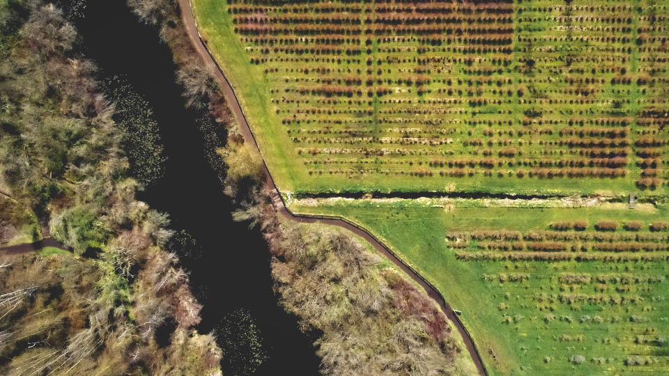 Farm Land