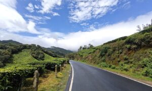 A winding mountain road cutting through lush rolling tea plantations under a bright blue sky with billowing white clouds