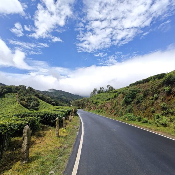 A winding mountain road cutting through lush rolling tea plantations under a bright blue sky with billowing white clouds