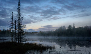 Lake Landscape