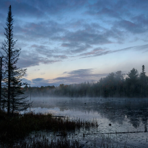 Lake Landscape
