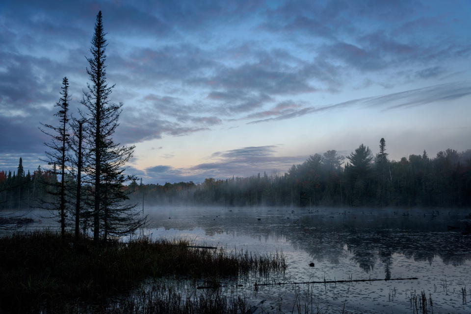 Lake Landscape