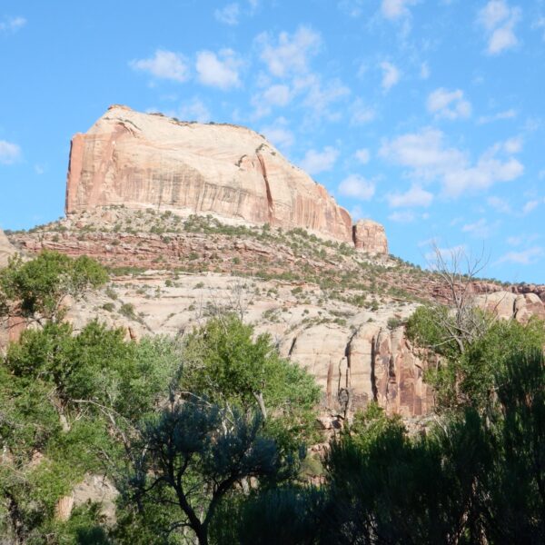 Glen Canyon Group