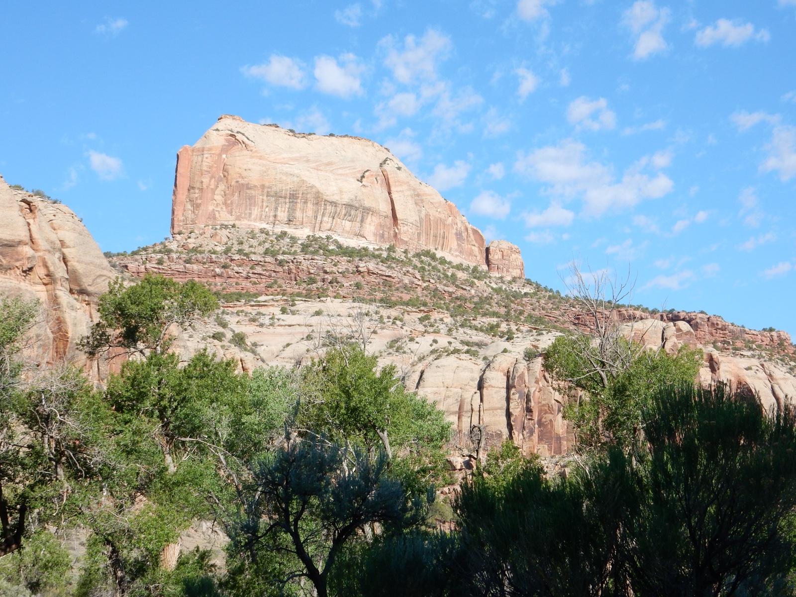 Glen Canyon Group
